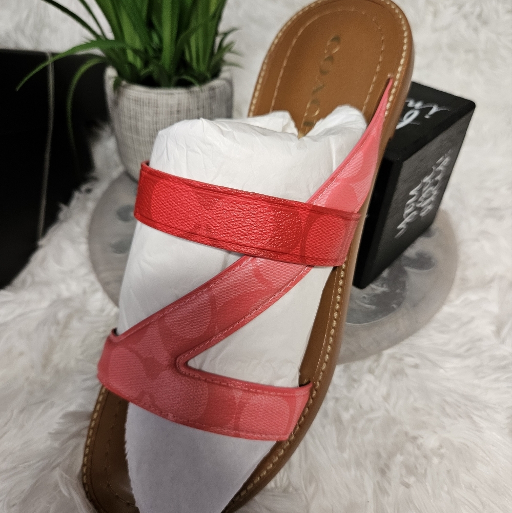 Coach Harlan Signature Pink Lemonade Sandals NIB 👡 CA362